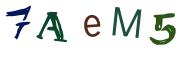 Image CAPTCHA