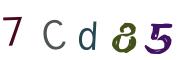 Image CAPTCHA