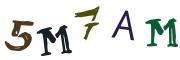 Image CAPTCHA