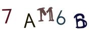 Image CAPTCHA