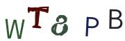 Image CAPTCHA