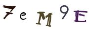 Image CAPTCHA