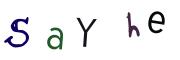 Image CAPTCHA
