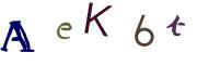 Image CAPTCHA