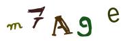 Image CAPTCHA