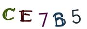 Image CAPTCHA