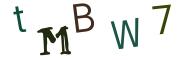 Image CAPTCHA