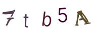 Image CAPTCHA
